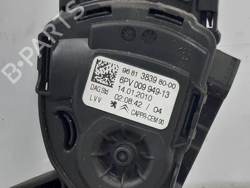 Pedal CITROËN C3 Picasso (SH_) 1.6 VTi 120 | BP30185331I4