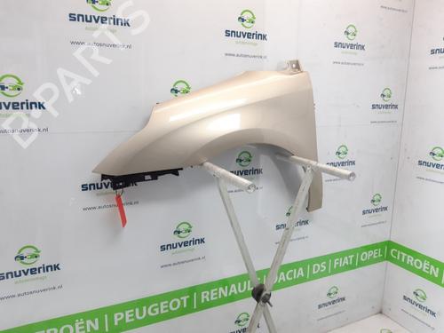 Left front fenders CITROËN C4 I (LC_) 1.6 16V | BP13902355C41 