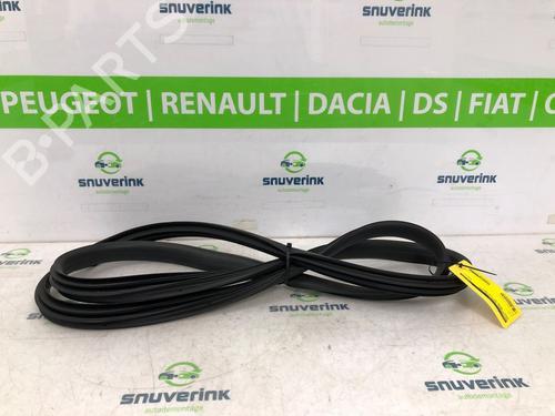Used Rubber door seal RENAULT ARKANA I (LCM_, LDN_) 1.3 TCe 160 (LDN1) (158 hp) 20214105