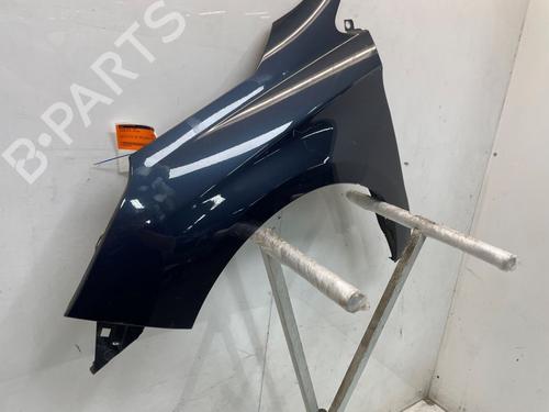 Left front fenders CITROËN C4 II (NC_) 1.6 HDi 115 | BP29899506C41