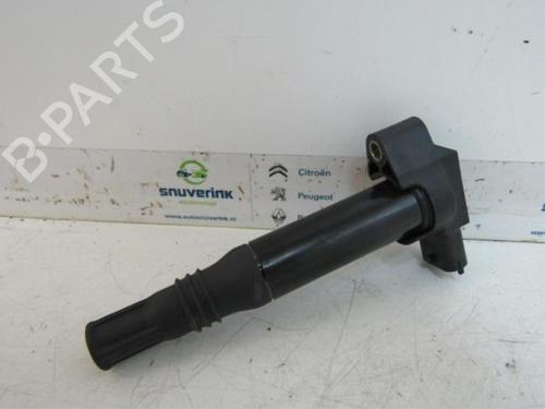 ignition-coil-citroen-c3-ii-sc_-2009-40566086 main image