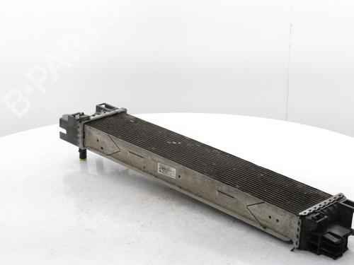 Water radiator RENAULT TRAFIC III Van (FG_) 2.0 dCi 120 (FGMN) | BP30185775M31