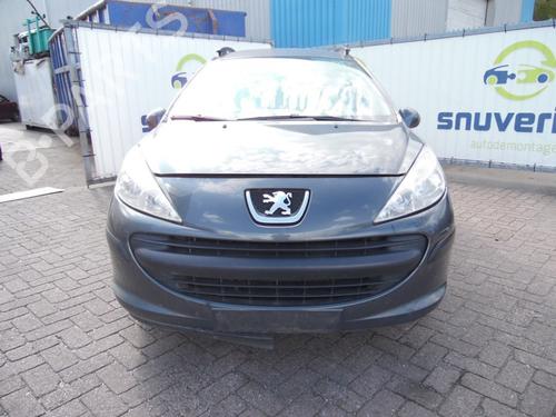 Used Hood PEUGEOT 207 SW (WK_) 1.6 HDi (90 hp) 10803957