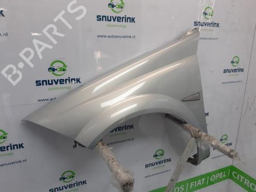Left front fenders RENAULT MEGANE II Coupé-Cabriolet (EM0/1_) 1.6 | BP14987862C41 
