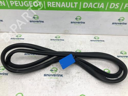 Used Rubber door seal PEUGEOT PARTNER Box Body/MPV (K9) 1.5 BlueHDi 100 (102 hp) 19490011