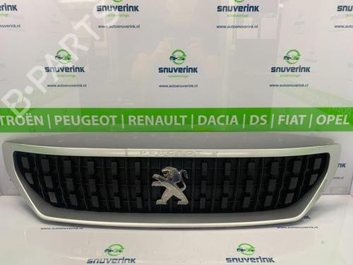 grille-peugeot-expert-van-v_-2016-40569037 main image