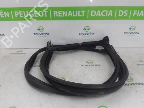 Gummiliste TESLA MODEL 3 (5YJ3) EV AWD | BP24477294C142 - Image 2