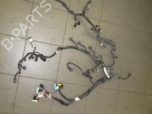 Used Wiring harness PEUGEOT PARTNER Tepee 1.6 HDi 90 (92 hp) 24162309