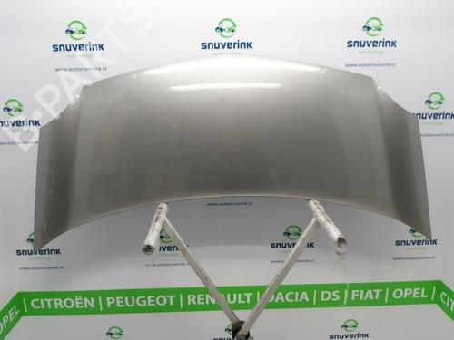Used Hood RENAULT KANGOO / GRAND KANGOO II (KW0/1_) 1.6 16V (KW03, KW09, KW0D, KW0U, KW0W, KW13) (106 hp) 10801039
