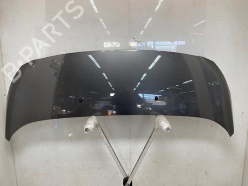 hood-peugeot-expert-van-v_-2016-35991913 main image