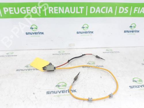 Elektronisk sensor RENAULT AUSTRAL E-TECH 200 Hybrid (HGM2) (199 hp) 24841084