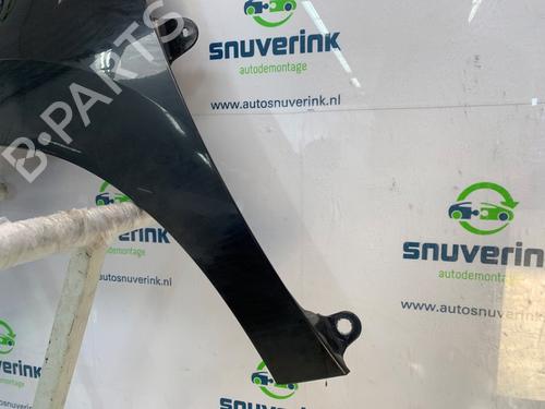 Left front fenders PEUGEOT 5008 (0U_, 0E_) 1.6 16V | BP25980222C41