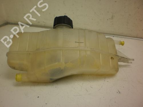 Expansion tank RENAULT CLIO III Grandtour (KR0/1_) 1.2 16V (KR0P) | BP24161236C120 