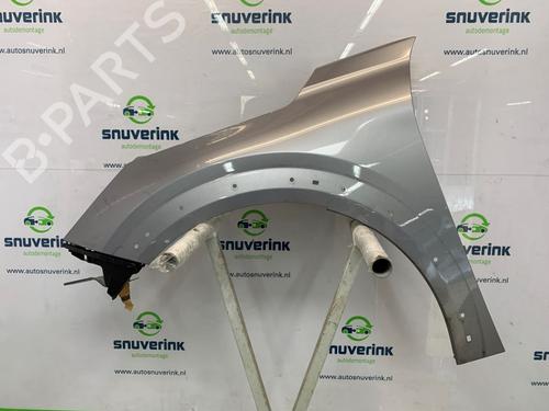 Used Left front fenders PEUGEOT 208 II (UB_, UP_, UW_, UJ_) e-208 (136 hp) 25828990