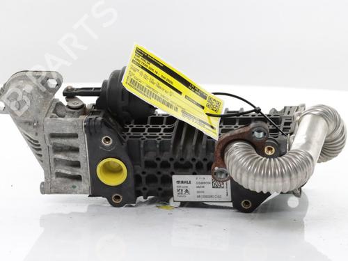 Used Egr Egr 38111489 38111489