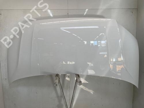 hood-vw-crafter-van-sy_-sx_-2016-39619055 main image