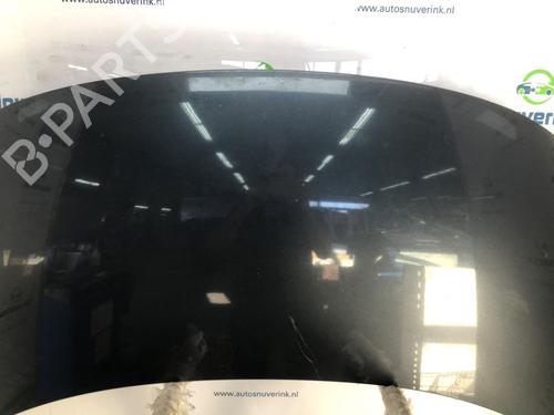 Hood RENAULT SCÉNIC III (JZ0/1_) 1.5 dCi | BP24841344C1 