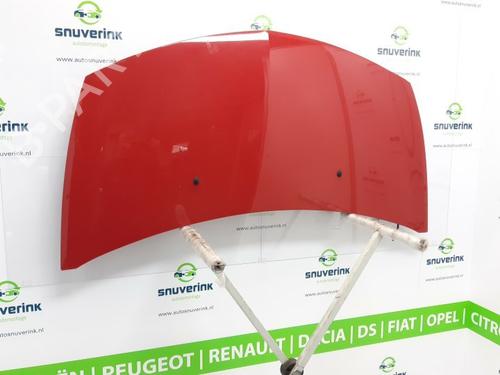 Capot RENAULT CLIO III (BR0/1, CR0/1) 1.2 16V (BR02, BR0J, BR11, CR02, CR0J, CR11) (75 hp) 10801438
