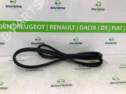 Used Rubber door seal RENAULT ARKANA I (LCM_, LDN_) 1.3 TCe 160 (LDN1) (158 hp) 20214106