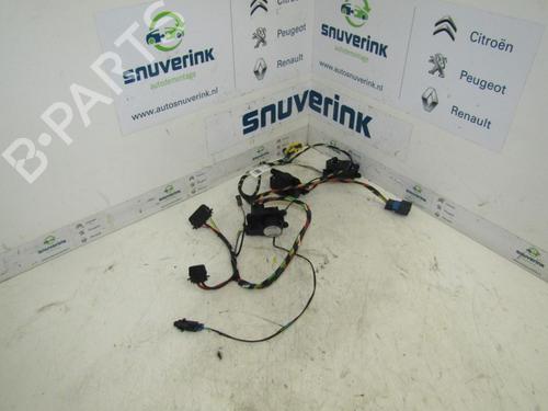 Ledningsnet CITROËN C3 II (SC_) 1.6 HDi (92 hp) 24162434