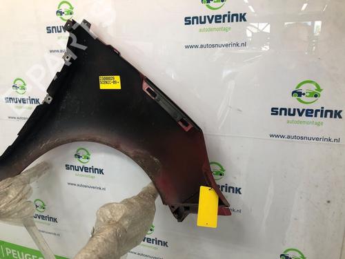 Left front fenders RENAULT SCÉNIC III (JZ0/1_) 1.4 16V (JZ0F, JZ1V) | BP18950575C41 