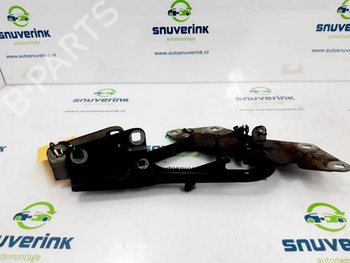 Hinge/Door check strap RENAULT MEGANE III Grandtour (KZ0/1) 1.5 dCi (KZ09, KZ0D, KZ1G, KZ29, KZ14, KZ1W, KZ10, KZ1F,... | BP13193323C146 