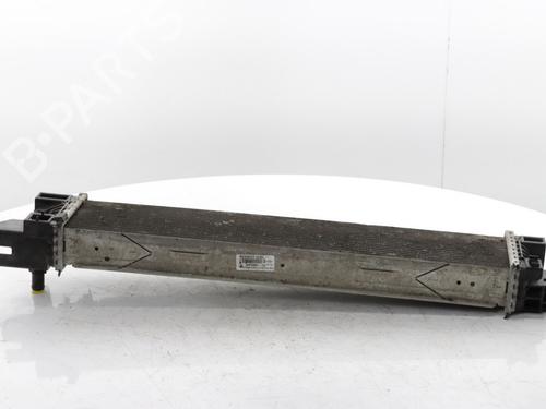 Used Water radiator RENAULT TRAFIC III Van (FG_) 2.0 dCi 120 (FGMN) (120 hp) 30185775