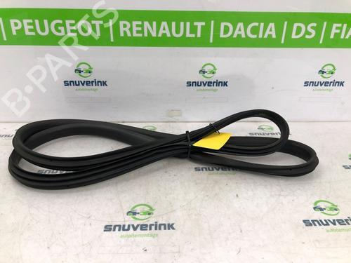 Gummiliste RENAULT ARKANA I (LCM_, LDN_) 1.3 TCe 160 (LDN1) (158 hp) 20499463