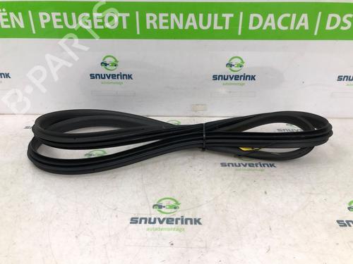 Rubber door seal RENAULT ARKANA I (LCM_, LDN_) 1.3 TCe 160 (LDN1) | BP20499463C142 