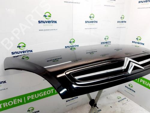 Hood CITROËN XSARA PICASSO (N68) 2.0 16V | BP10797234C1 