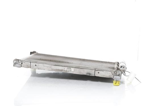 Used Water radiator RENAULT TWINGO II (CN0_) 1.2 16V (CN04, CN0B) (75 hp) 28288687