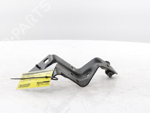 Hinge/Door check strap RENAULT MASTER III Van (FV) 2.3 dCi 165 FWD (FV0P, FV0U, FV11, FV12, FV1E) | BP31592272C146