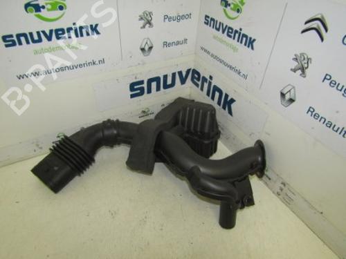 Used Pipe RENAULT TWINGO III (BCM_, BCA_) 1.0 SCe 70 (71 hp) 24163379