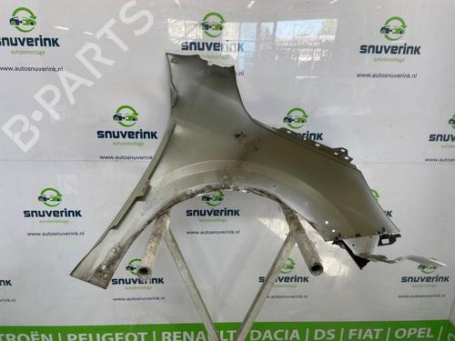 Left front fenders PEUGEOT 208 II (UB_, UP_, UW_, UJ_) e-208 | BP26202565C41 