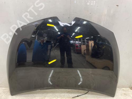 Panser RENAULT CLIO IV (BH_) 1.5 dCi 90 (90 hp) 30757290