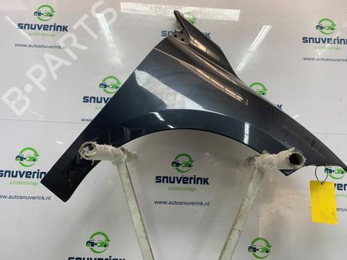 Left front fenders RENAULT MEGANE III Grandtour (KZ0/1) 1.5 dCi (KZ09, KZ0D, KZ1G, KZ29, KZ14, KZ1W, KZ10, KZ1F,... | BP26665660C41 