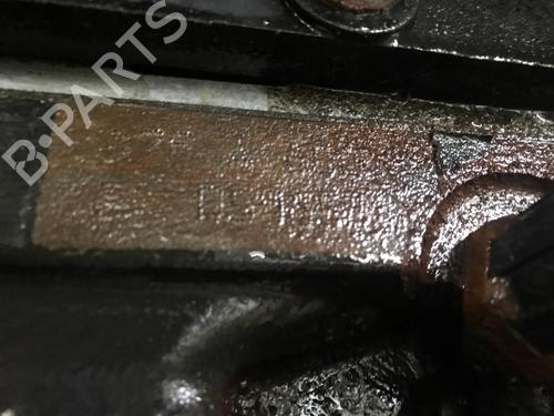 Engine RENAULT TWINGO II (CN0_) 1.2 (CN0D) | BP31960062M1 