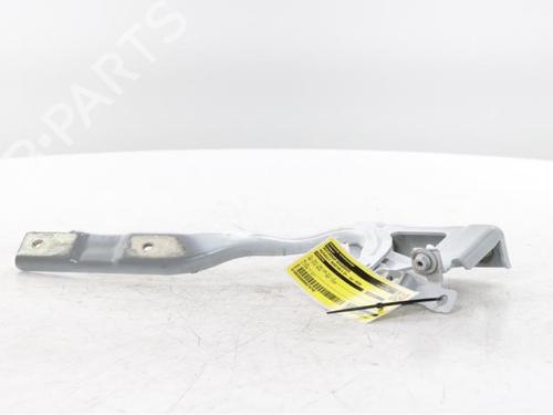 hingedoor-check-strap-renault-master-iv-van-f8__-2024-34565870 main image