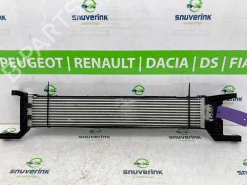 Oliekøler FIAT DUCATO Van (250_) 140 Multijet 2,2 D (140 hp) 24160228