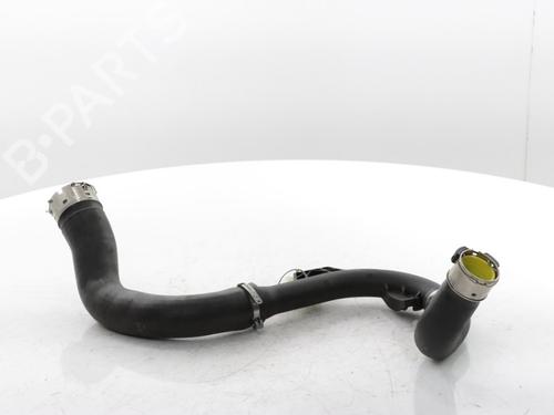 Other RENAULT CLIO V (B7_) 1.0 TCe 90 (B7MT) | BP29241885O1