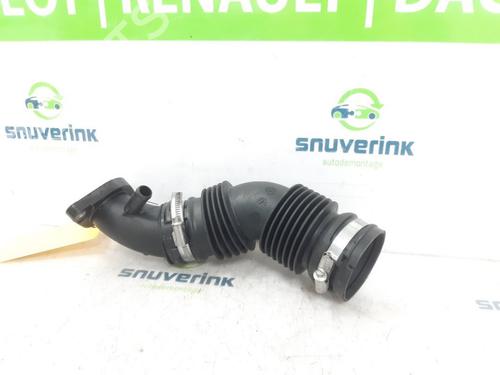 Used Pipe RENAULT MEGANE IV Grandtour (K9A/M/N_) 1.6 TCe 205 (205 hp) 29068603