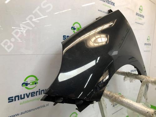 Left front fenders RENAULT SCÉNIC III (JZ0/1_) 1.6 16V (JZ0U, JZ1B) | BP24705274C41 