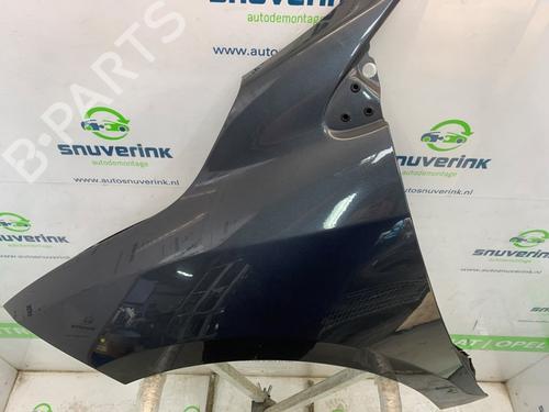 Right front fenders RENAULT MEGANE III Grandtour (KZ0/1) 1.5 dCi (KZ09, KZ0D, KZ1G, KZ29, KZ14, KZ1W, KZ10, KZ1F,... | BP26665661C42 