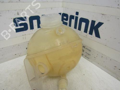 Used Expansion tank PEUGEOT 3008 I MPV (0U_) 1.6 VTi (120 hp) 10785596