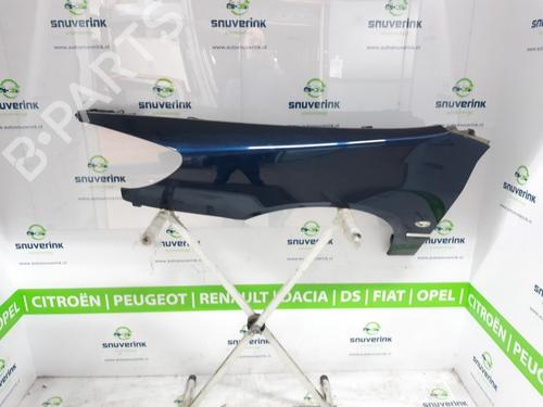 Used Left front fenders PEUGEOT 607 (9D, 9U) 2.7 HDi 24V (204 hp) 17190781