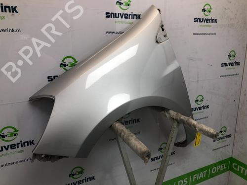 Left front fenders RENAULT CLIO III (BR0/1, CR0/1) 1.2 16V (BR02, BR0J, BR11, CR02, CR0J, CR11) | BP13414783C41 