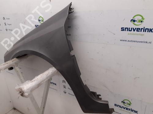 Left front fenders RENAULT LAGUNA II Grandtour (KG0/1_) 1.8 16V (KG0J) | BP10786063C41 