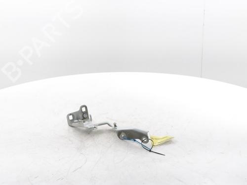Hinge/Door check strap RENAULT TRAFIC III Van (FG_) 2.0 dCi 120 (FGMN) | BP29426848C146 
