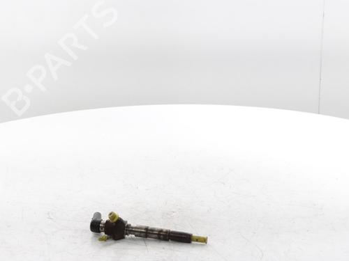 Injector RENAULT MEGANE IV Grandtour (K9A/M/N_) 1.5 dCi 110 | BP29426995M100