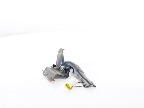 Hinge/Door check strap RENAULT TALISMAN Grandtour (KP_) 1.5 dCi 110 | BP27287431C146 